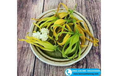 Hoa hoàng lan công chúa - loài hoa yêu thích bày ban thờ