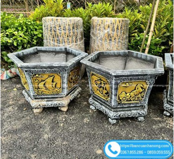 Chậu Lục Giác 50cm Trồng Cây Cảnh